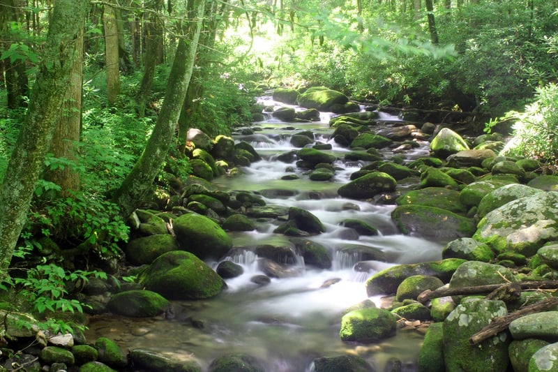 Smoky Mountains
